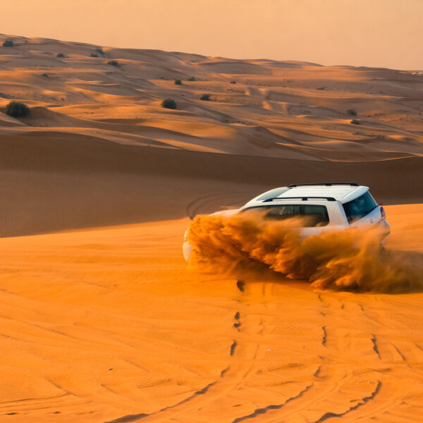 desert safari
