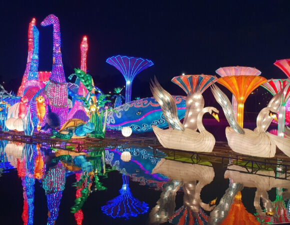 Dubai Garden Glow Tickets & Tour