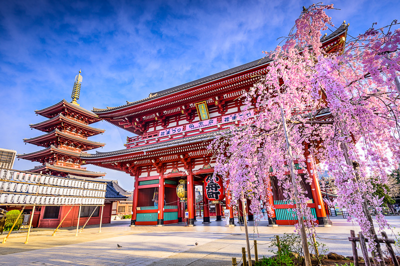 Things to Do in Tokyo on Your Japan Holiday